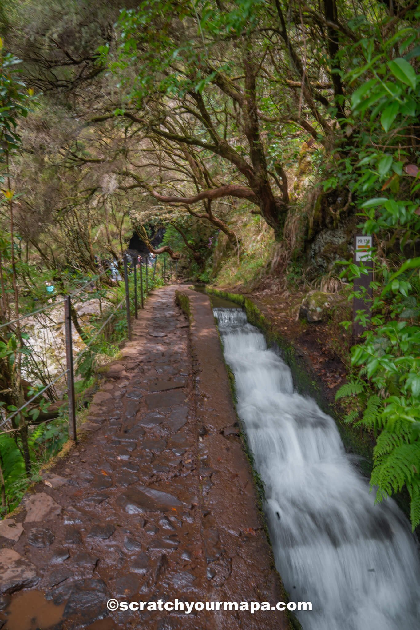 Levada das 25 Fontes hike Madeira