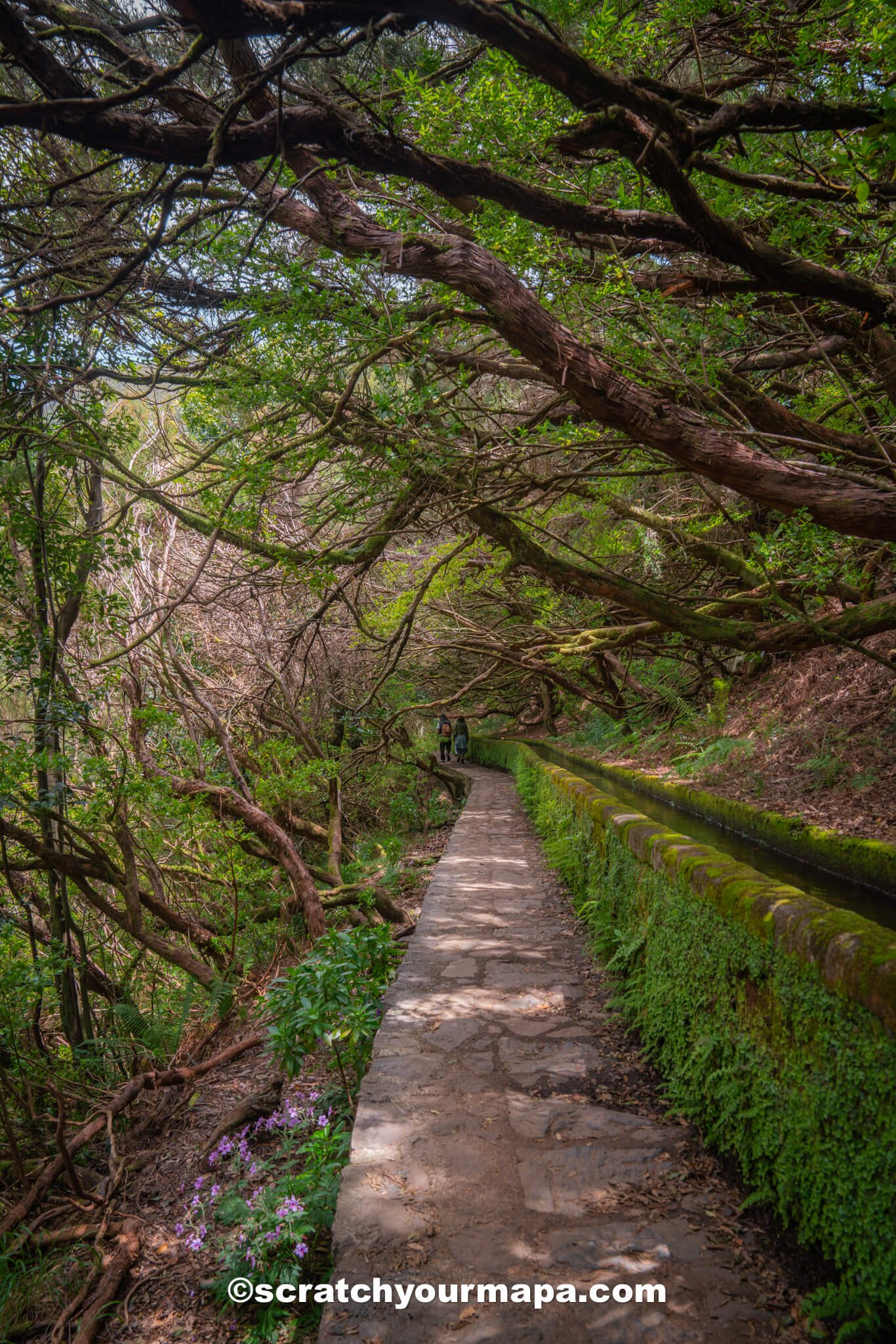 Levada das 25 Fontes hike Madeira