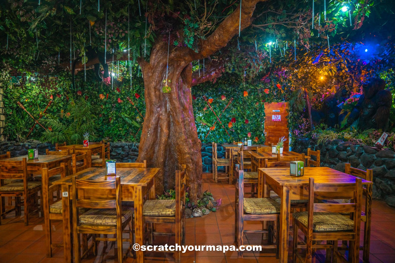 Restaurant Jungle Rain in Madeira