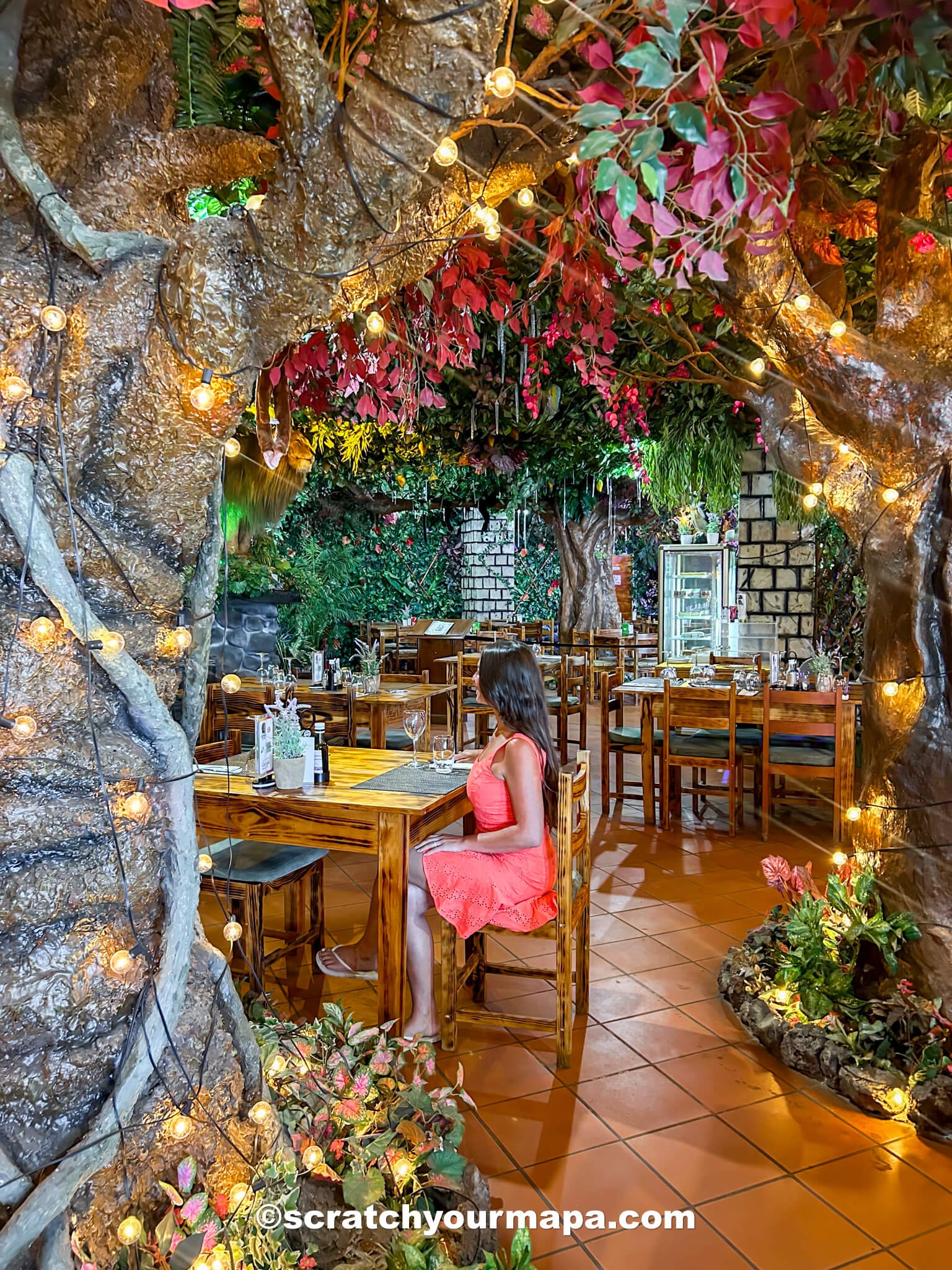 Restaurant Jungle Rain in Madeira