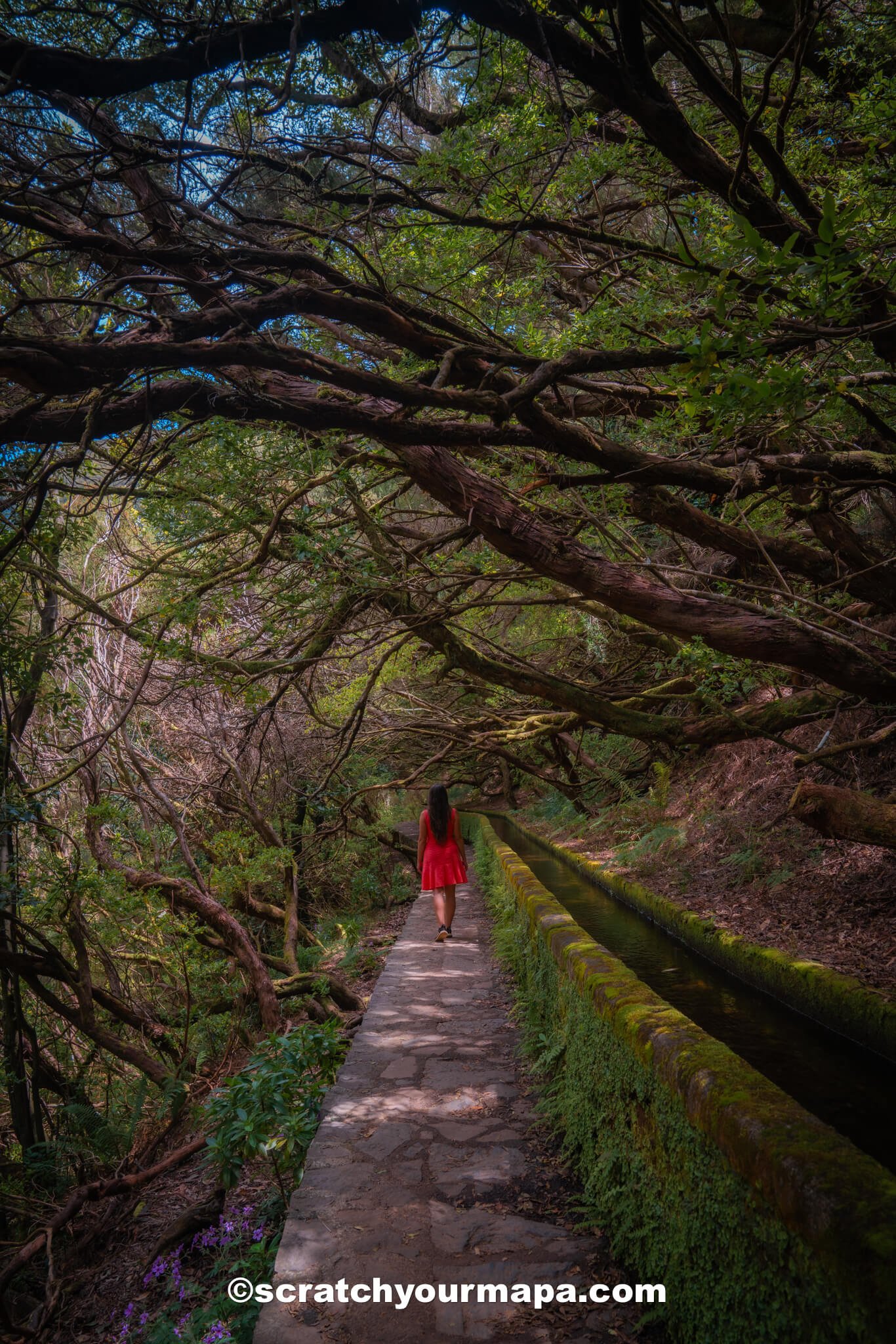 Levada das 25 Fontes hike Madeira