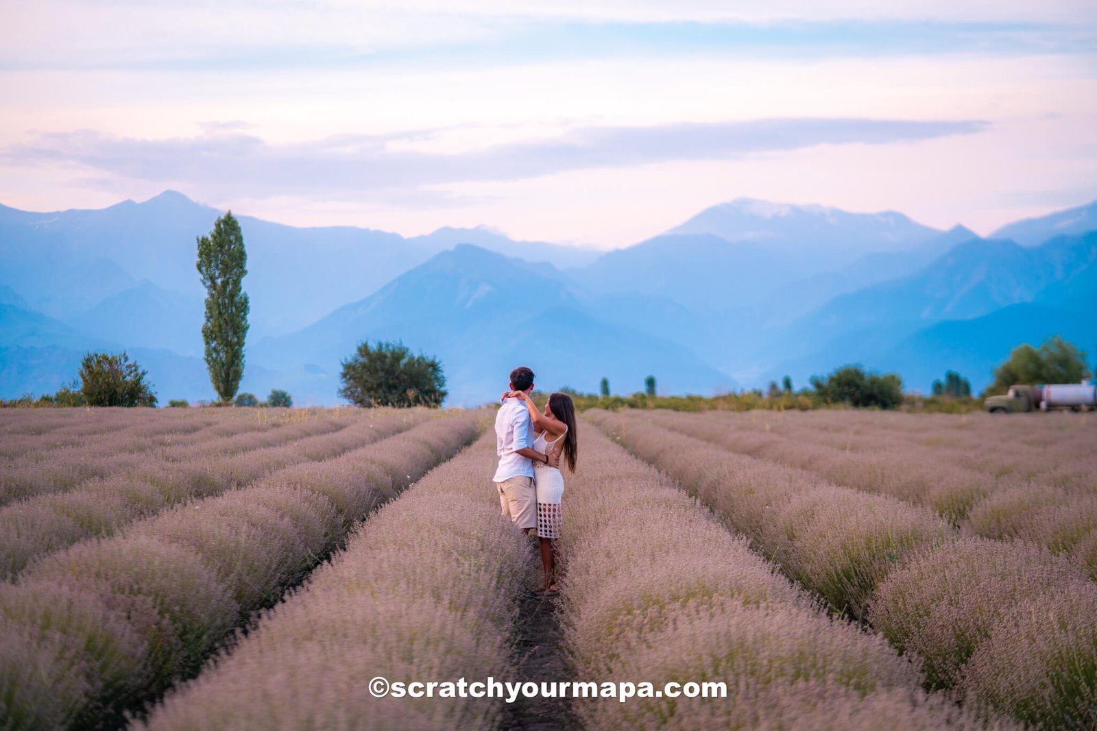 Essense Lavender field - best photo spots in Azerbaijan