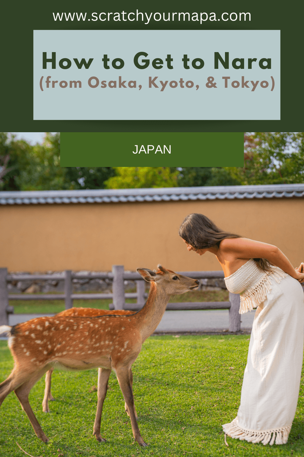 How to get to Nara, Japan travel guide
