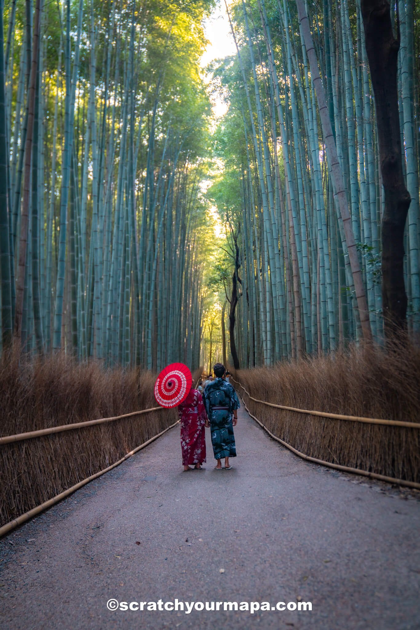 how to get to Nara, Japan from Kyoto