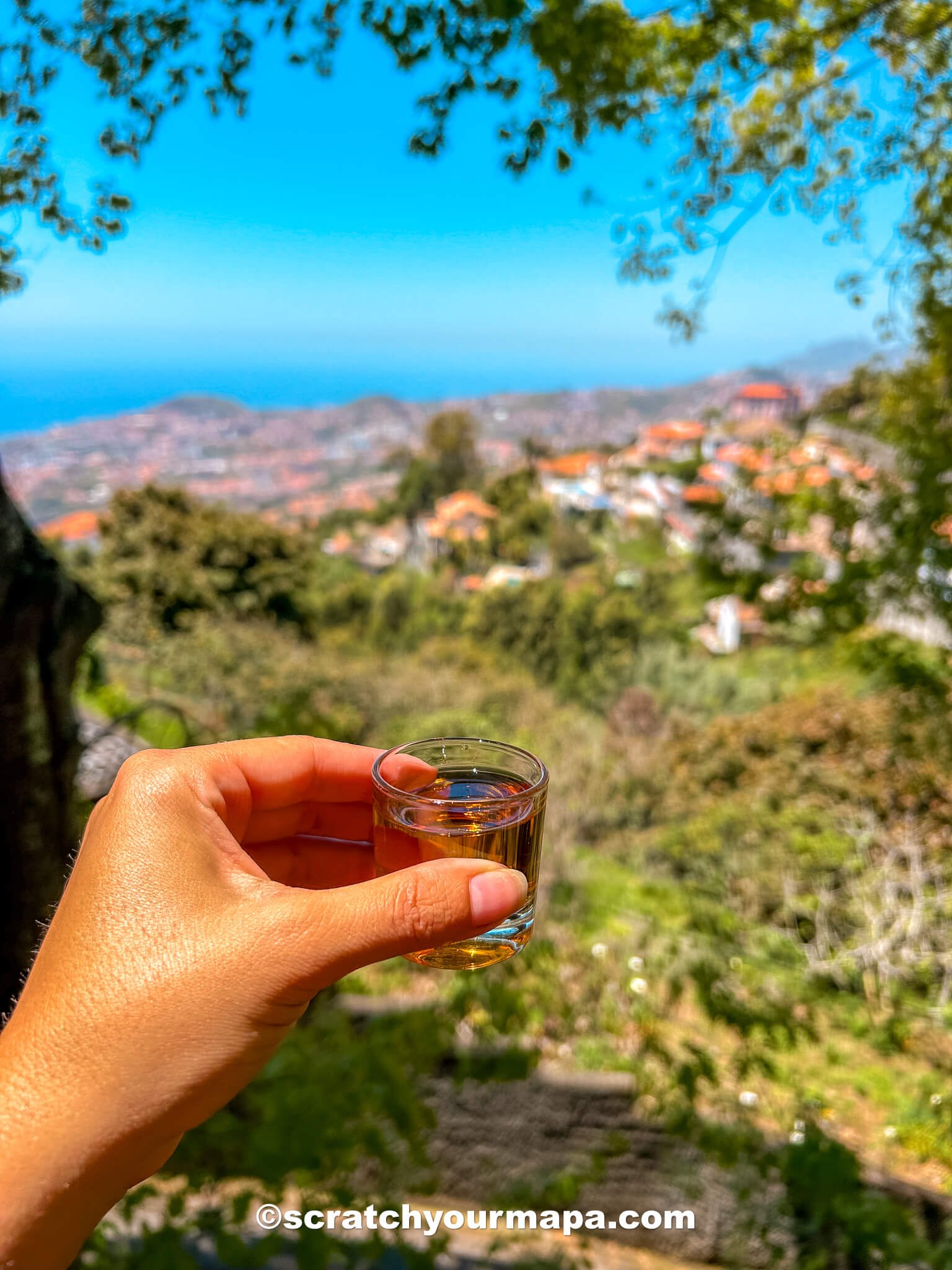 food in Madeira-08-3 popular foods in Portugal