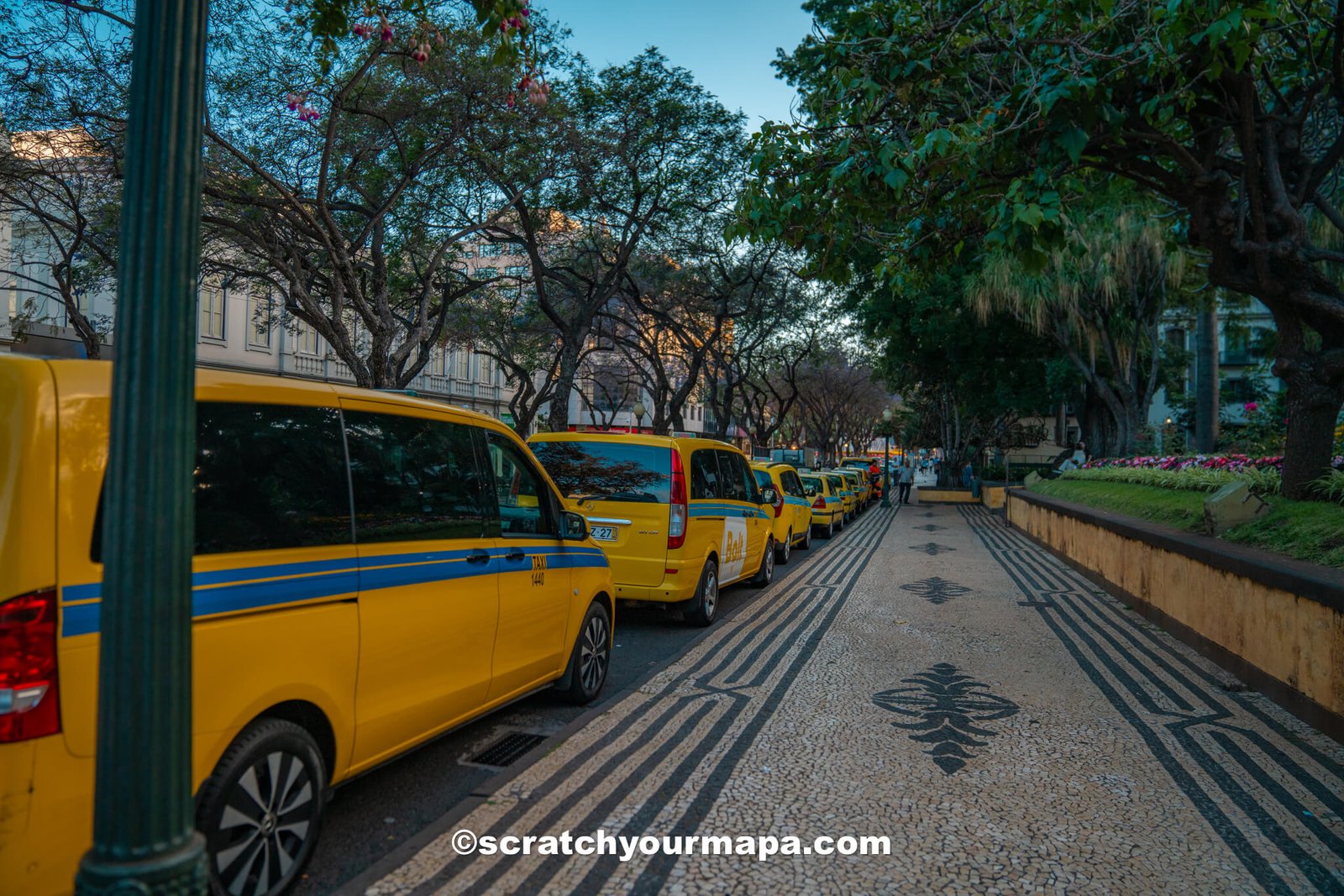 taxis in Madeira - how to get around Madeira Island