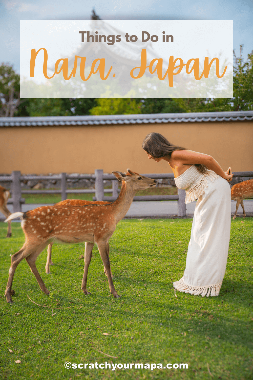 things to do in Nara, Japan in one day travel guide