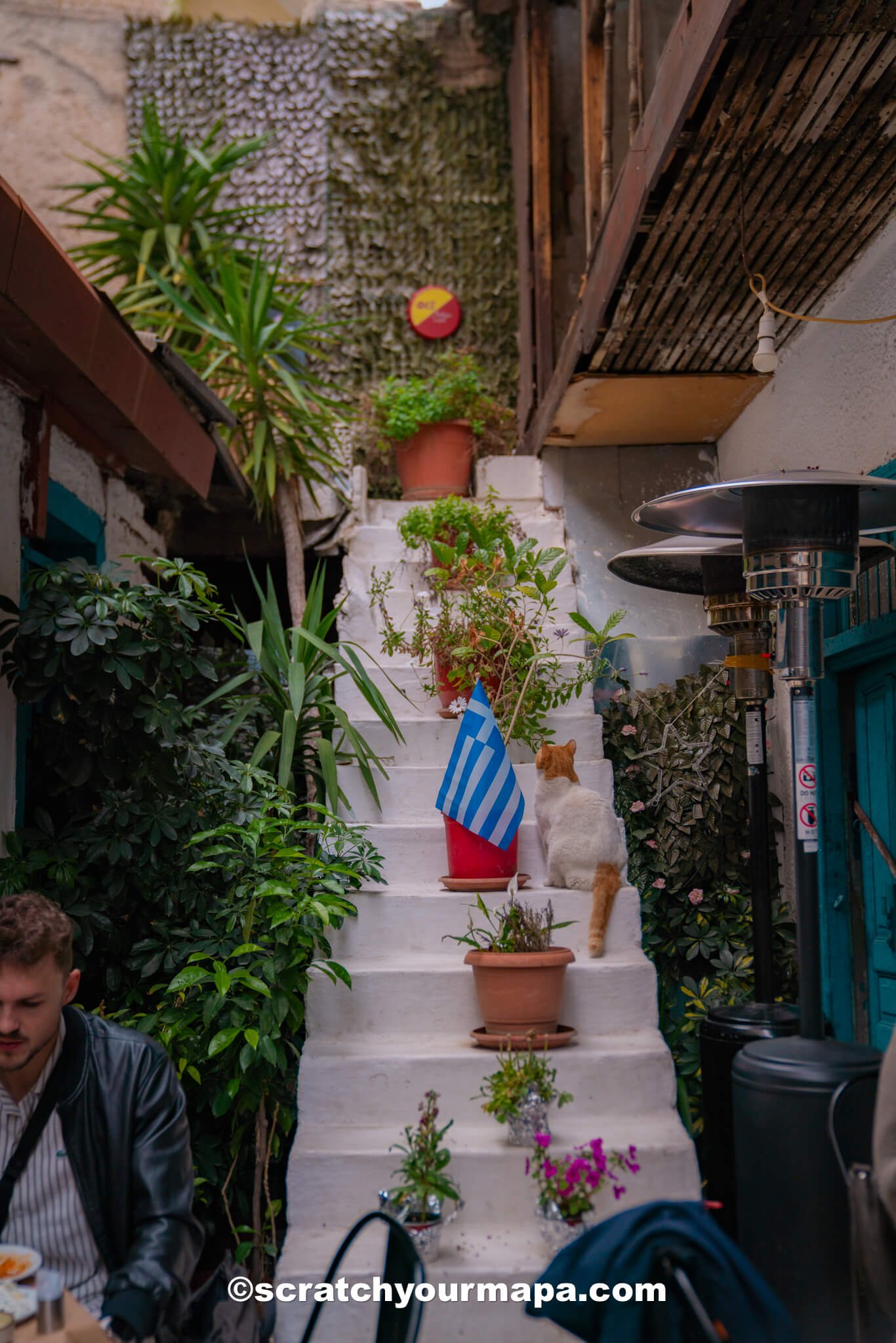 Avli - best restaurants in Athens, Greece