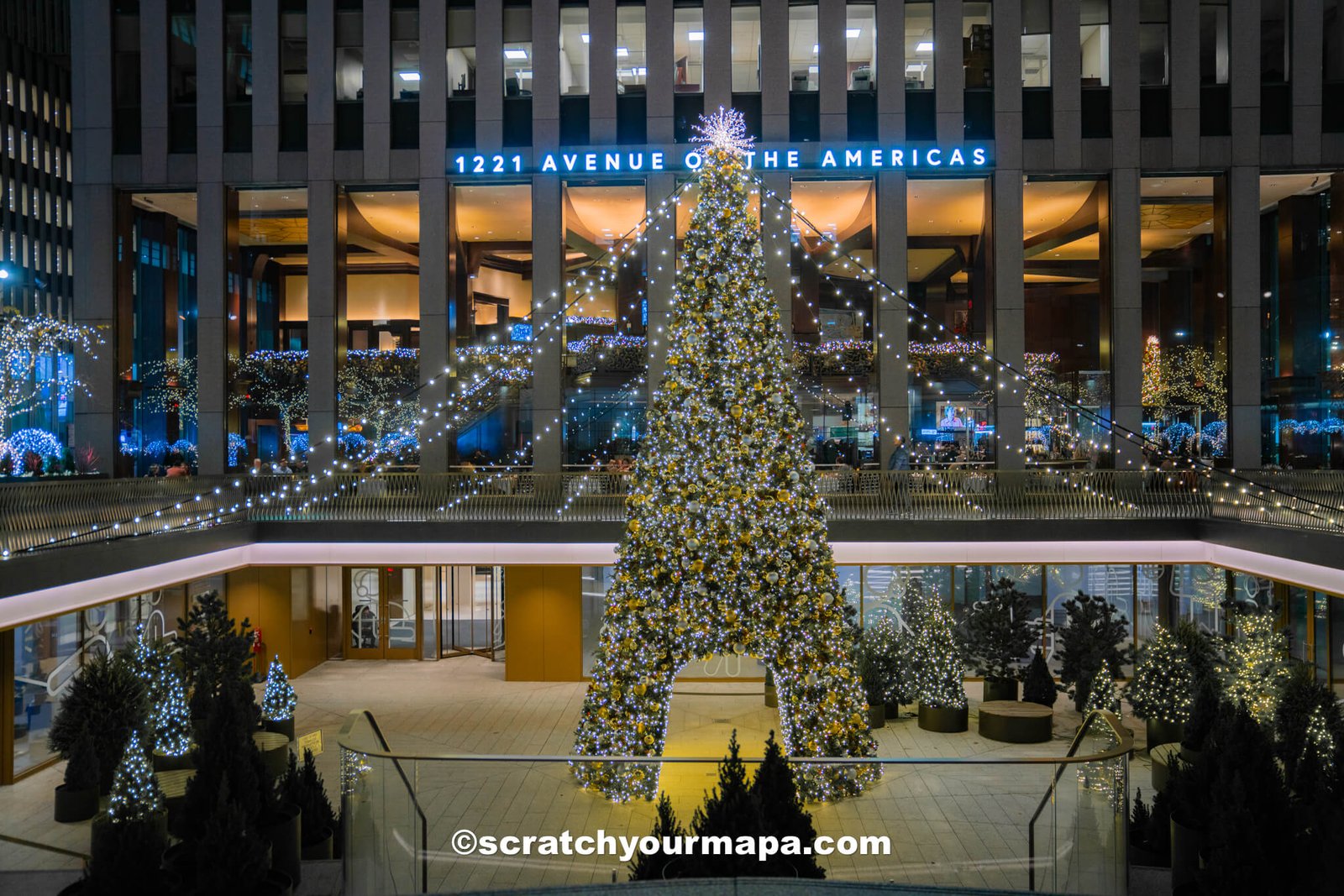 The best Christmas trees in NYC