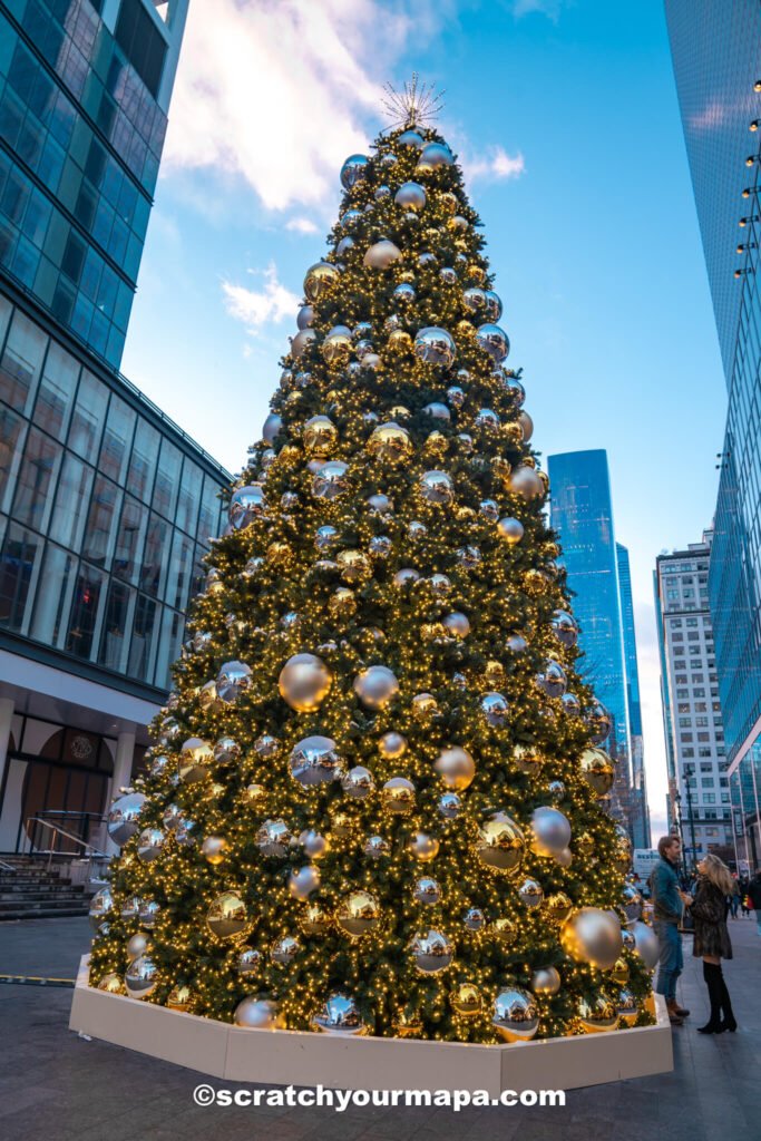 The best Christmas trees in NYC