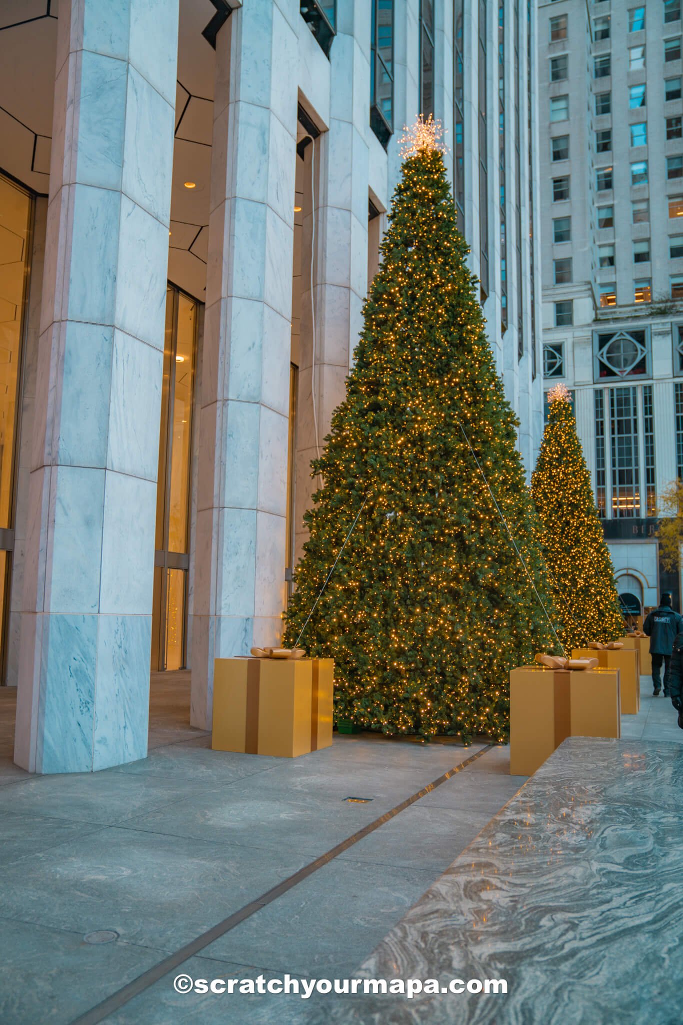 The best Christmas trees in NYC