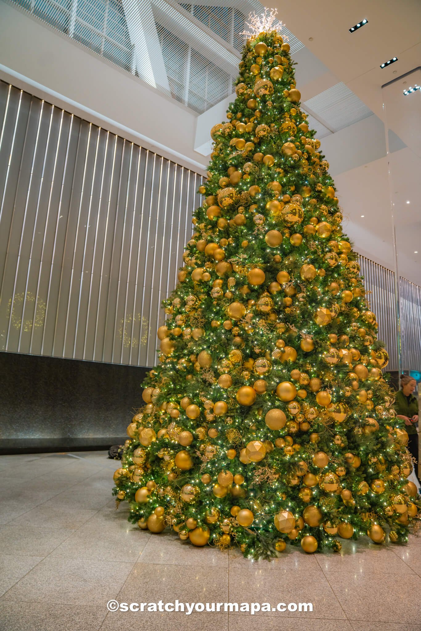 Christmas trees in NYC