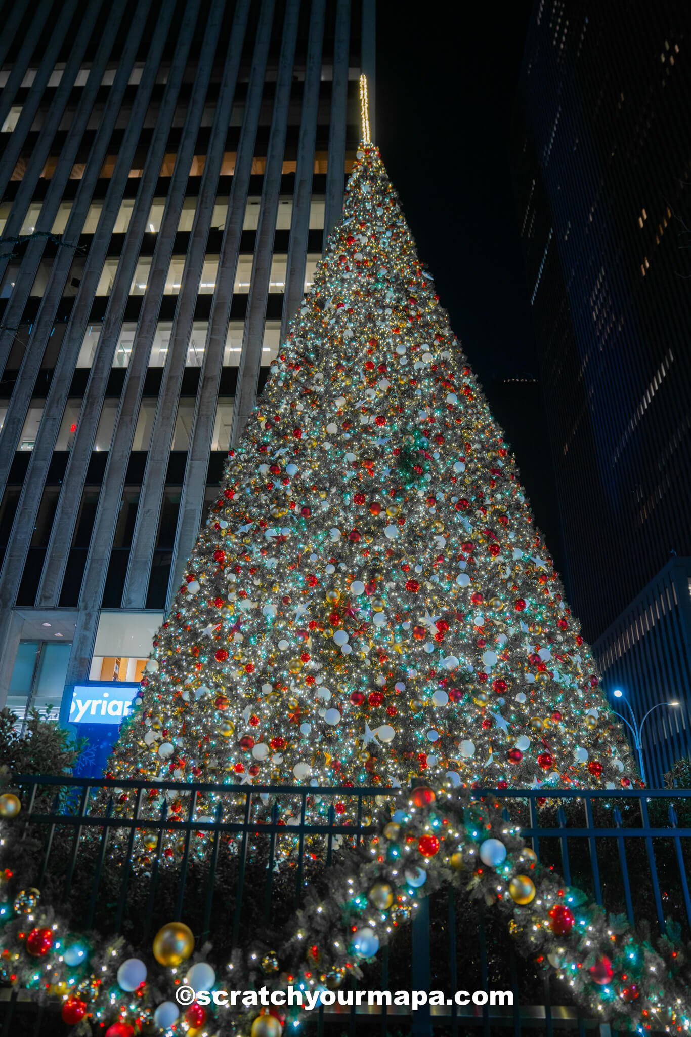 Fox Christmas Tree in NYC Christmas trees in NYC