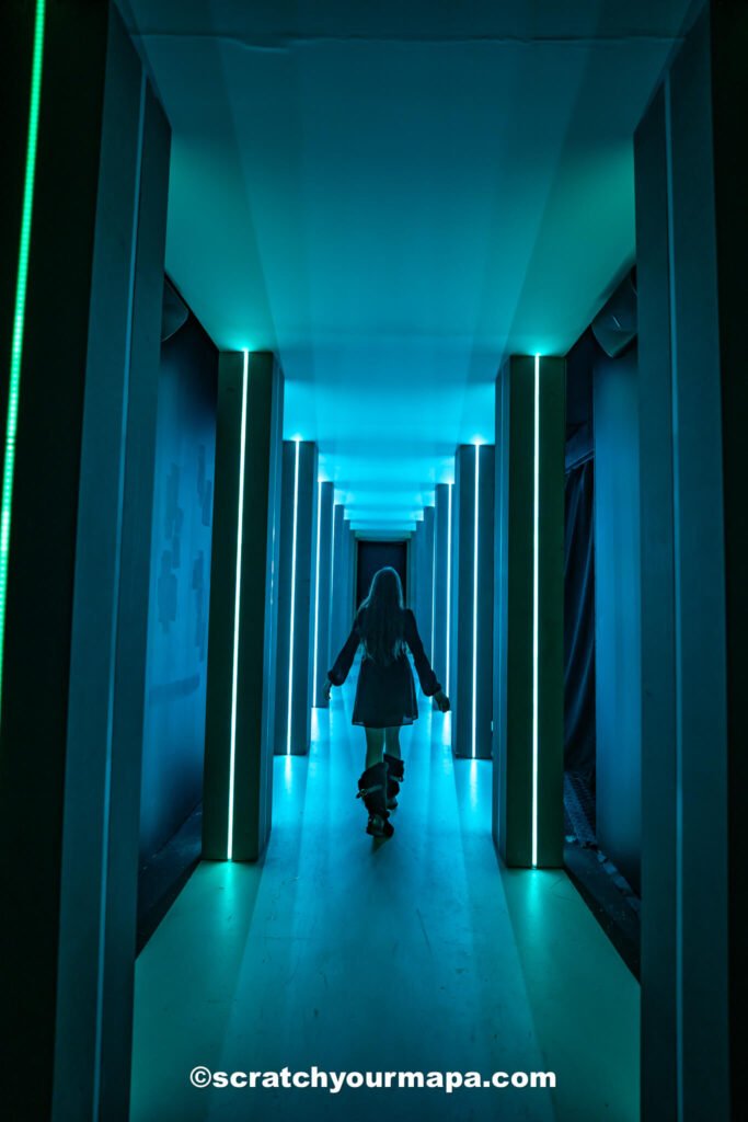 Polar Express - best things to do in NYC in the winter