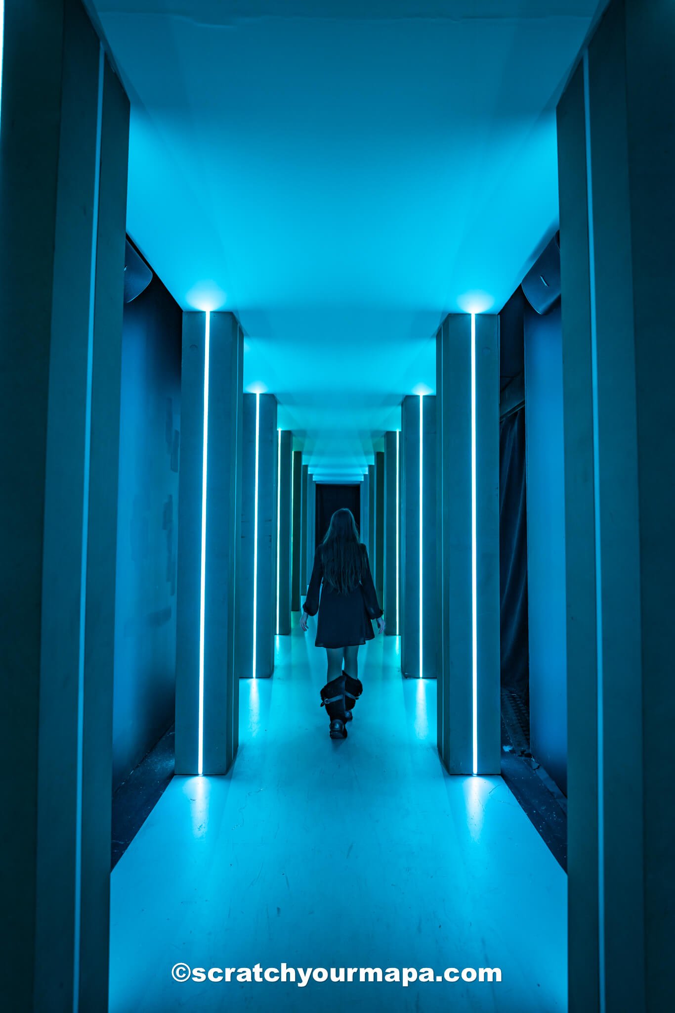 Polar Express - best Christmas activities in NYC