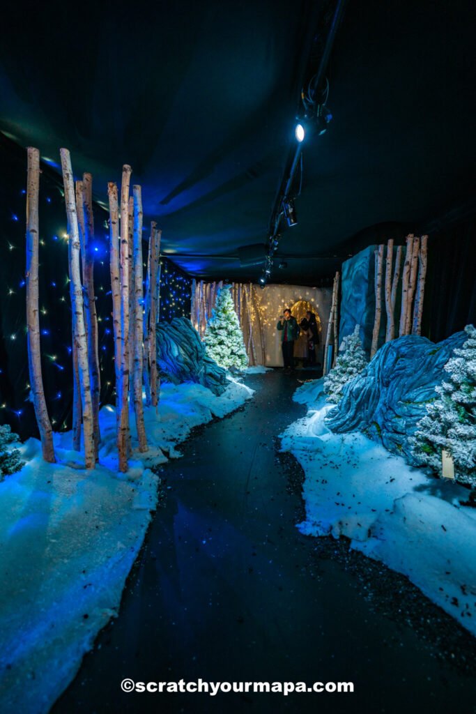 Polar Express - best things to do in NYC in the winter
