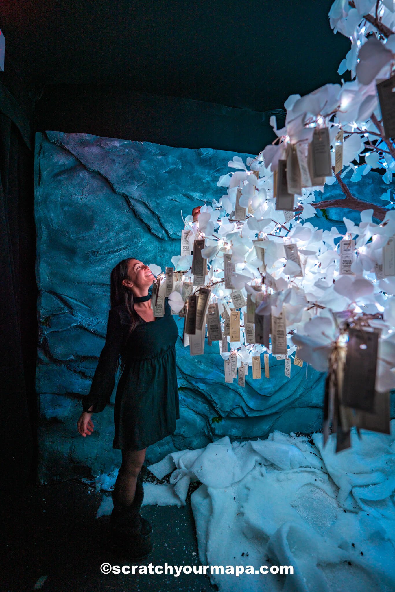 Polar Express - best Christmas activities in NYC