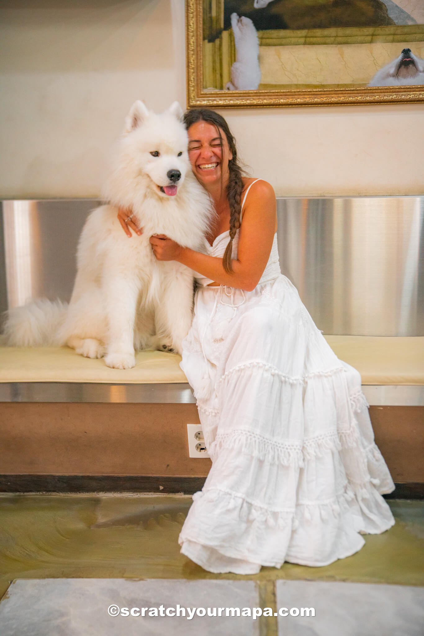 Samoyed Cafe - best. things to do in Seoul, South Korea