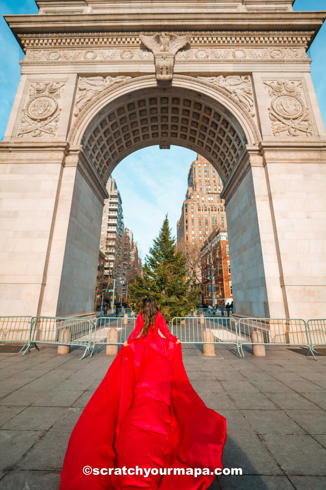 the best Christmas trees in NYC