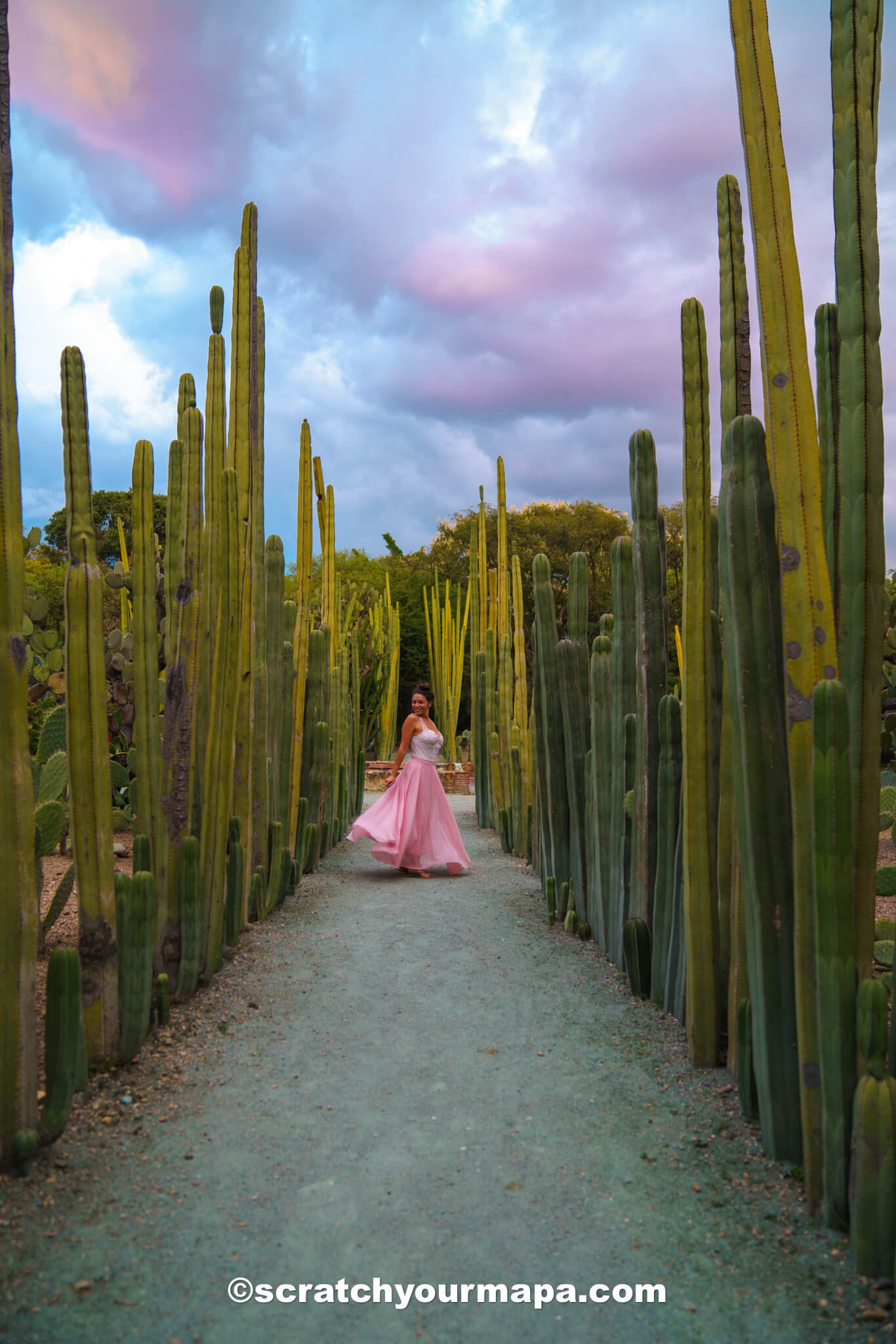 Jardin Etnobotanico de Oaxaca travel guide