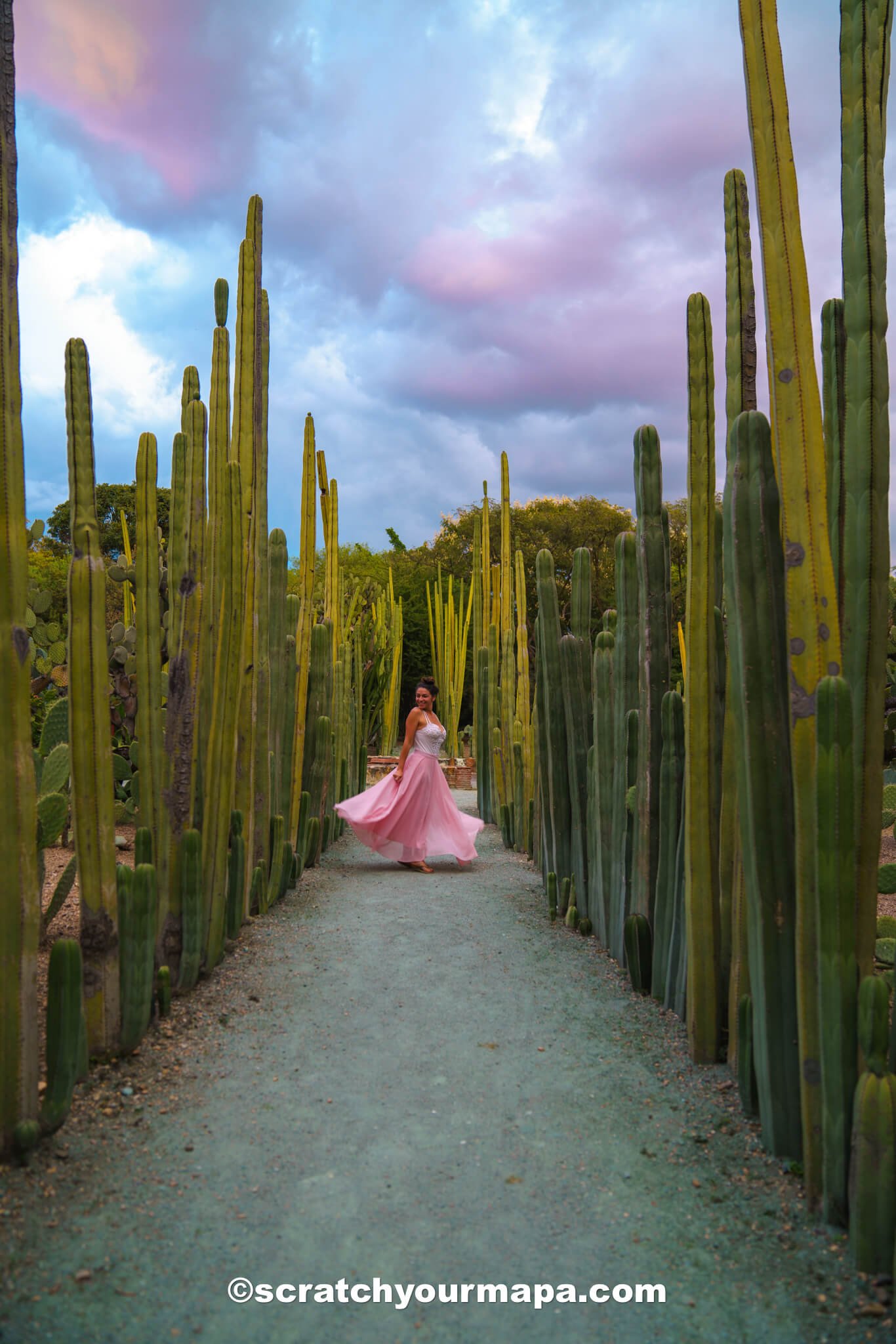 Jardin Etnobotanico de Oaxaca travel guide