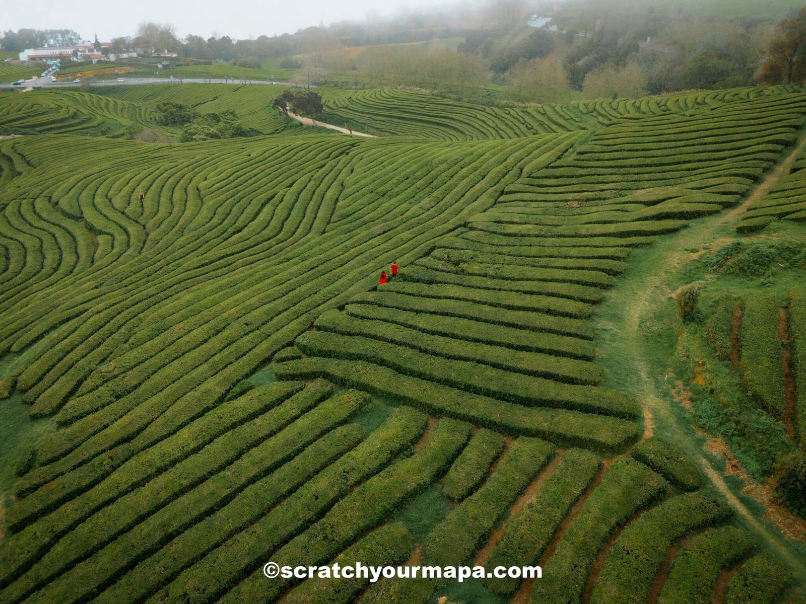 the best time to visit the Azores