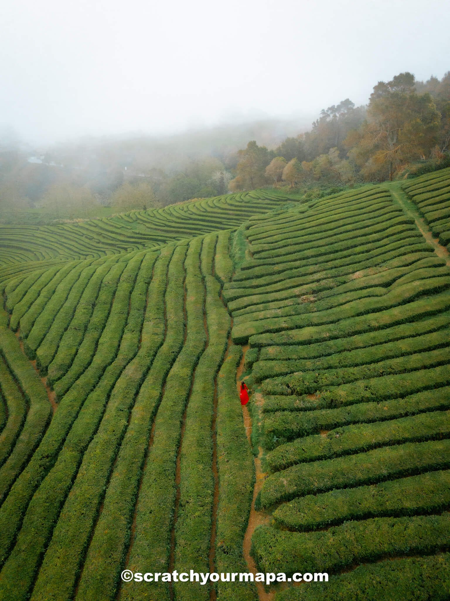 how to get to the Azores