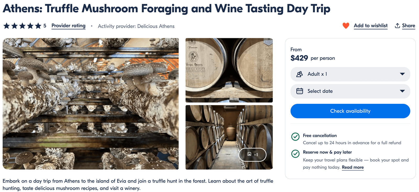 truffle and winery tour in Athens, Greece