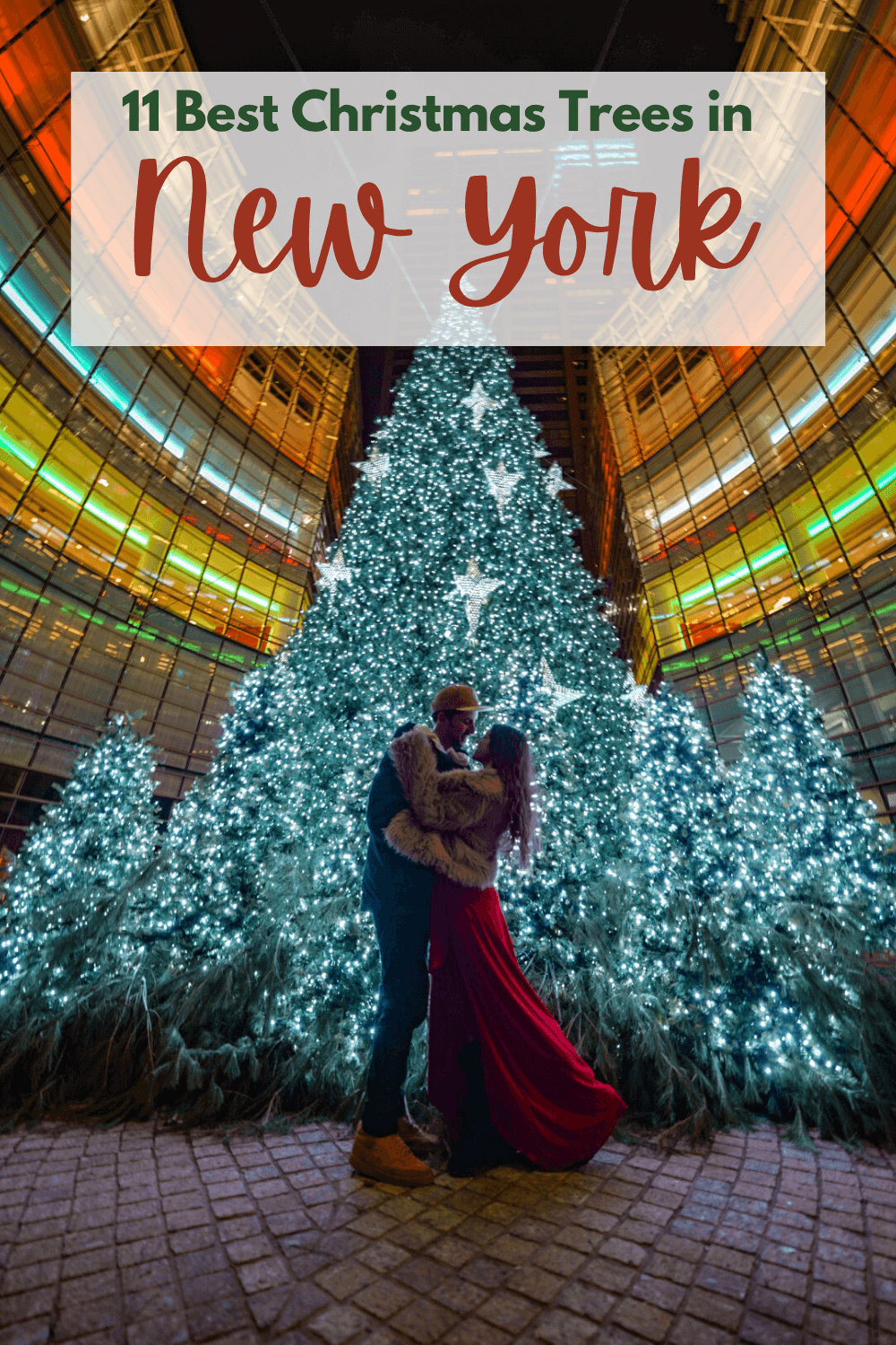 the best Christmas trees in NYC