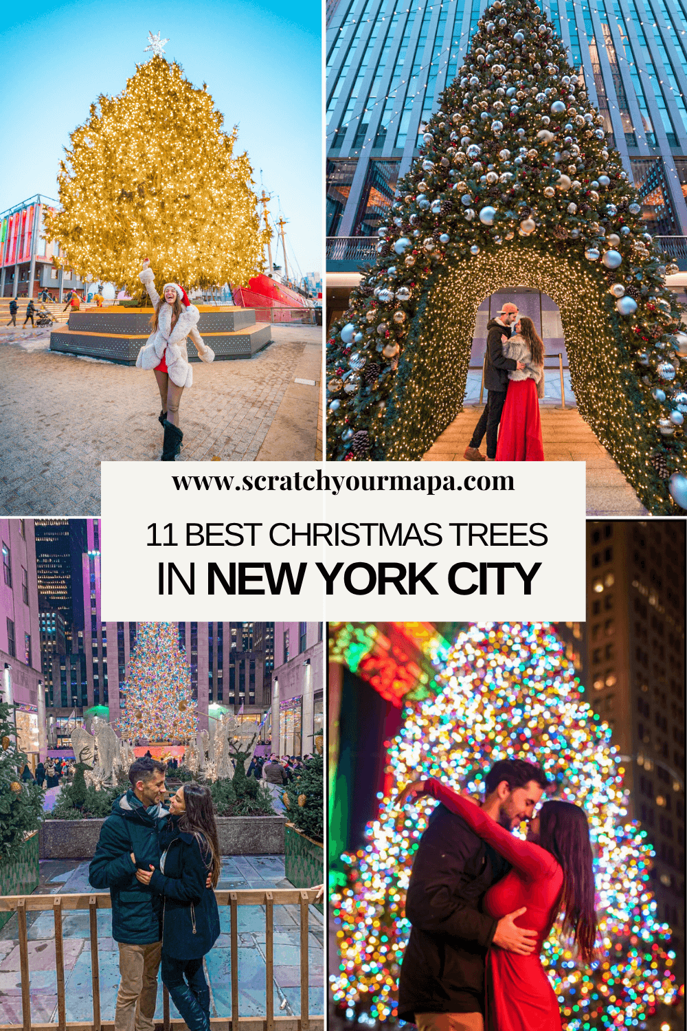 the best Christmas trees in NYC