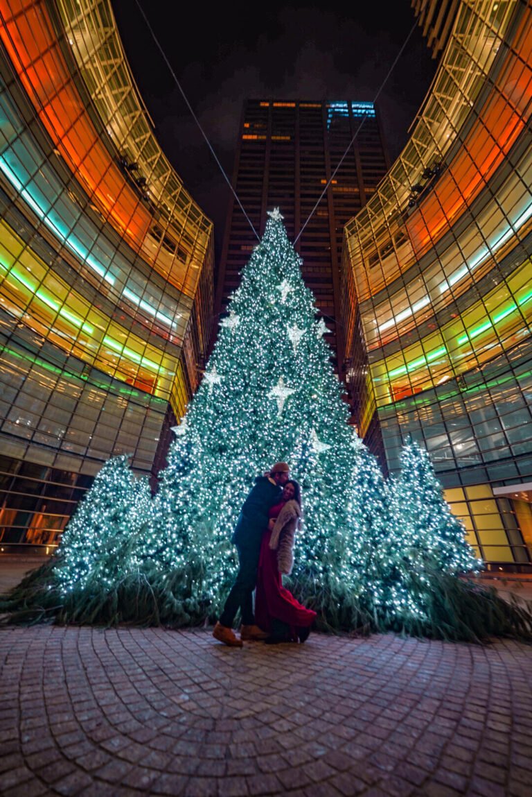 The best Christmas trees in NYC