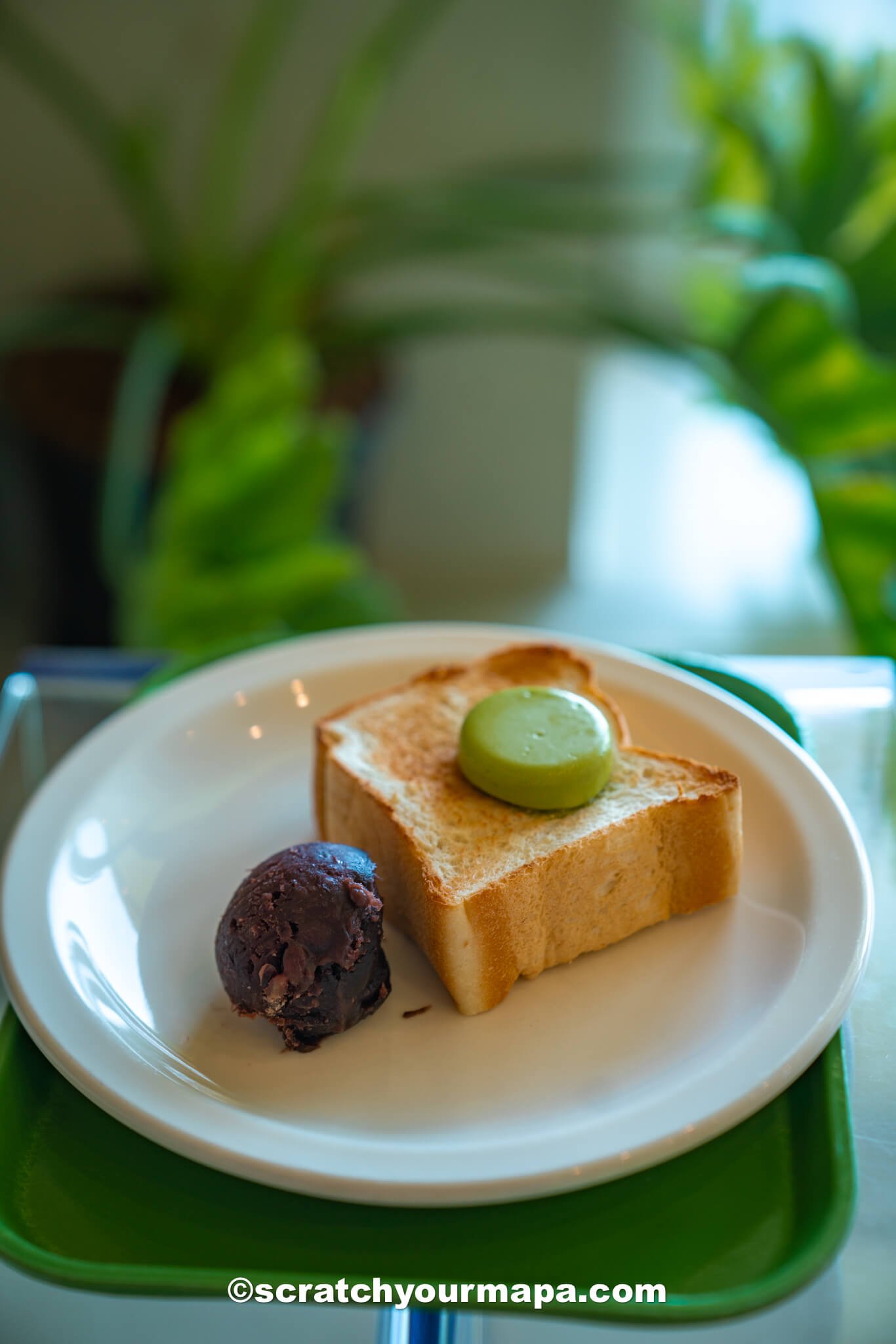 Glossy Matcha - cafes in Jeju, South Korea