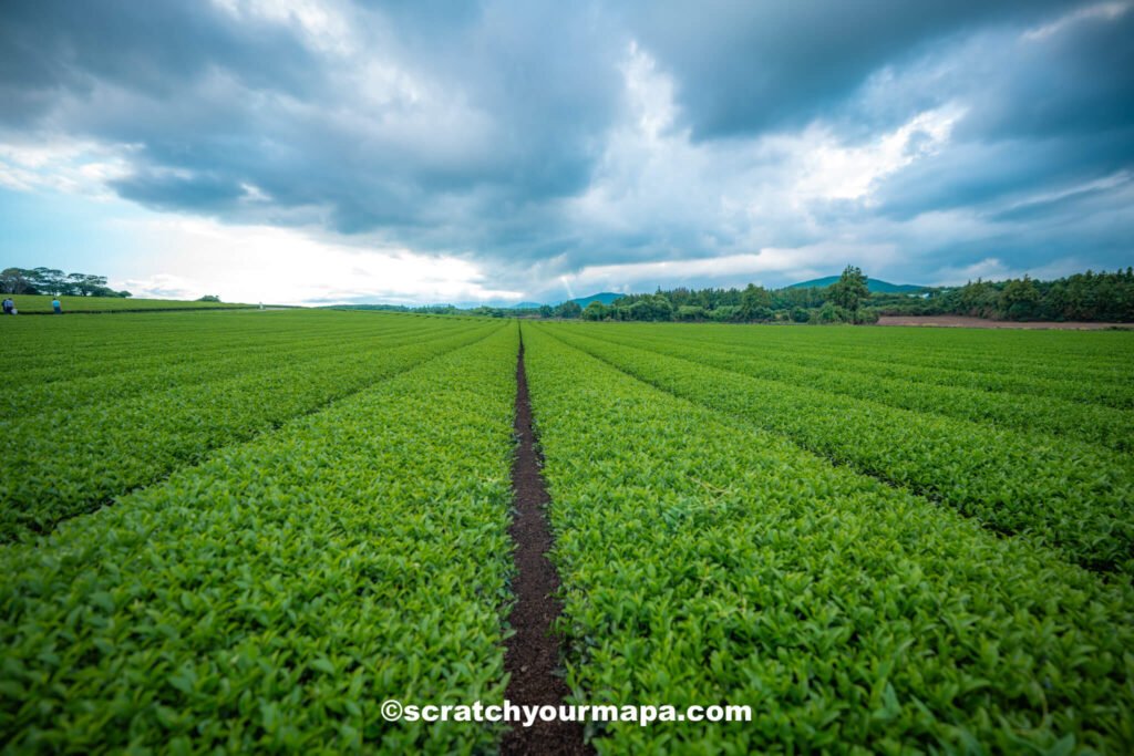 how to visit South Korea