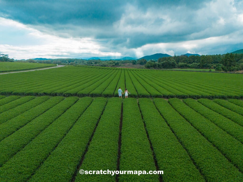 the best time to visit South Korea