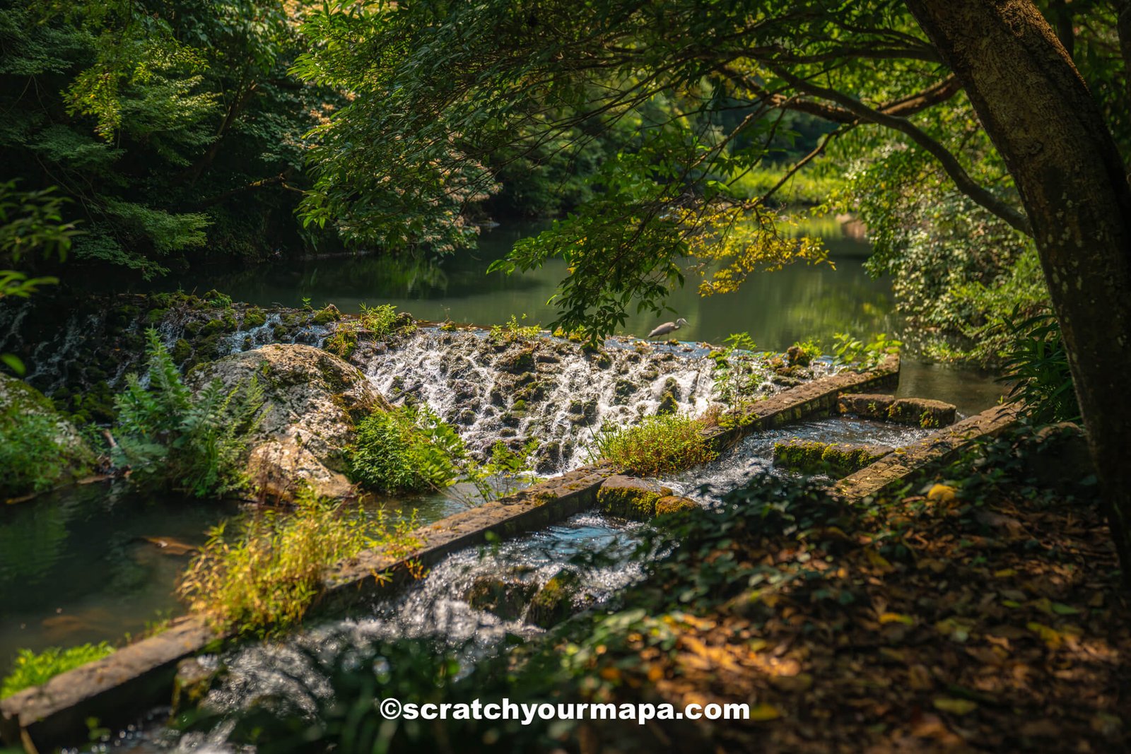 how to get to Jeju island