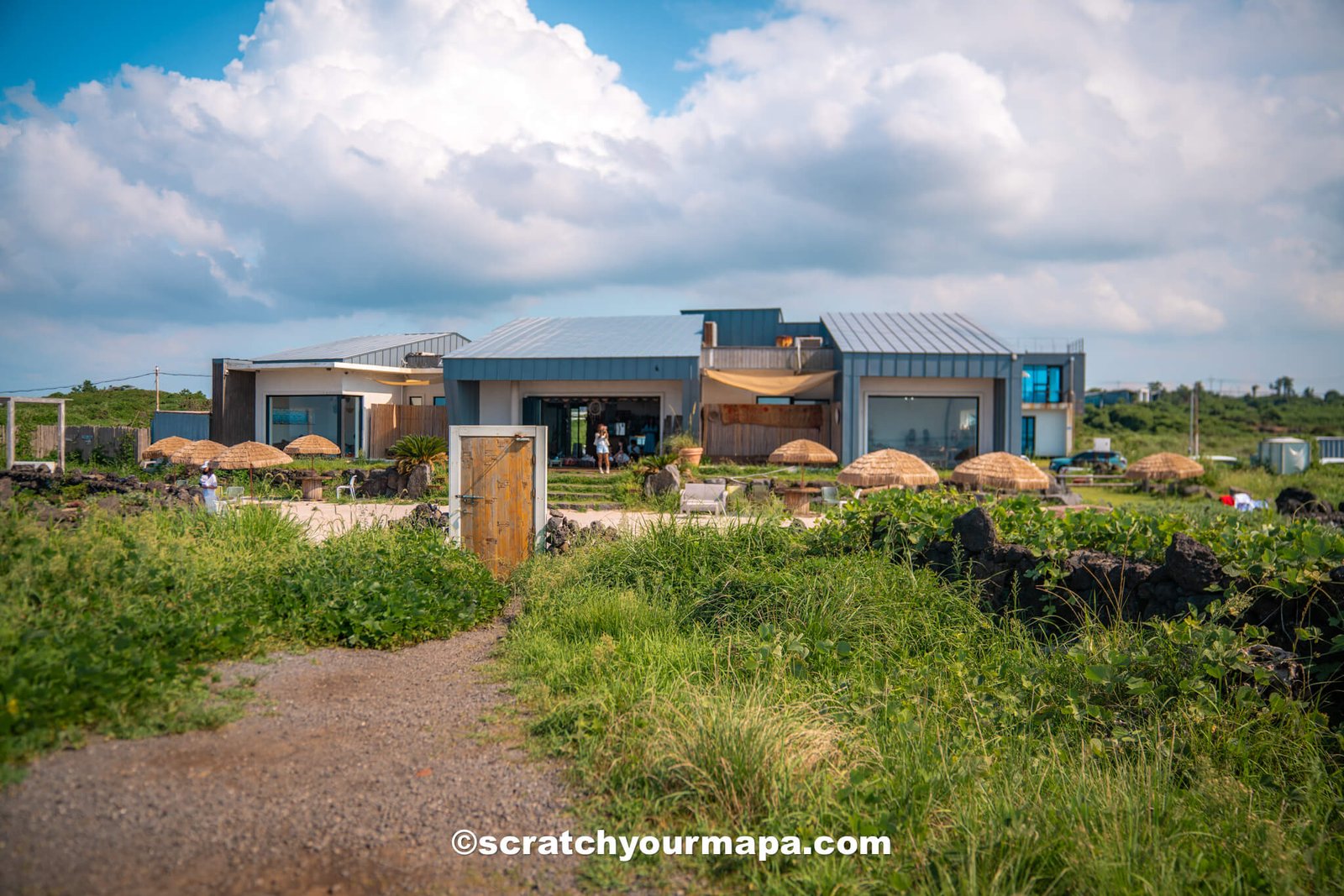 things to do in Jeju - experience the cafes