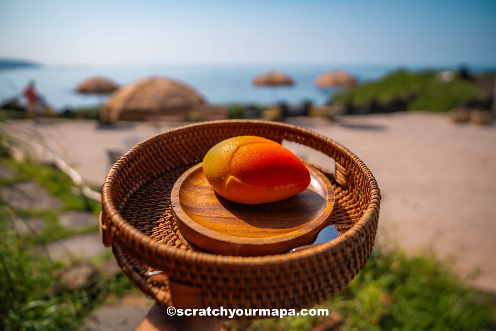 Moalboal Cafe - best cafes in Jeju