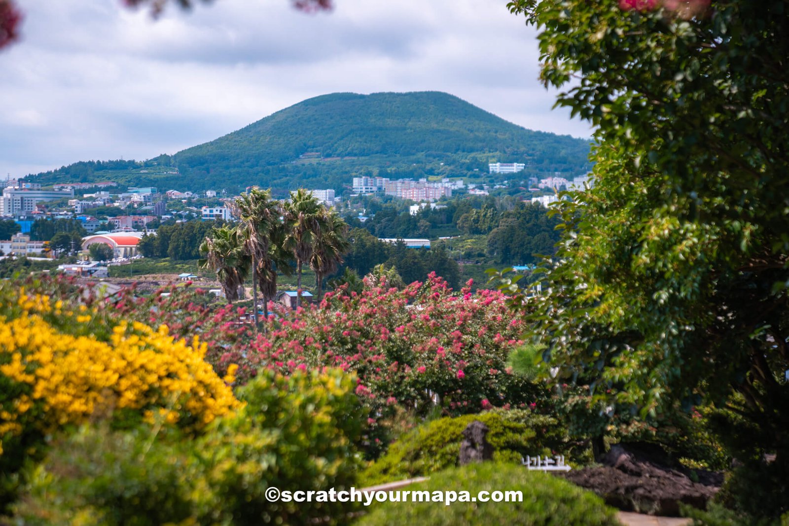 Sumdo Gardens - best things to do in Jeju, South Korea