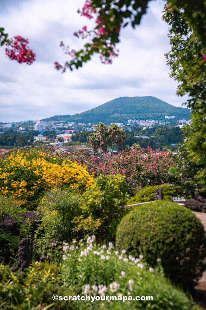the best time to visit South Korea