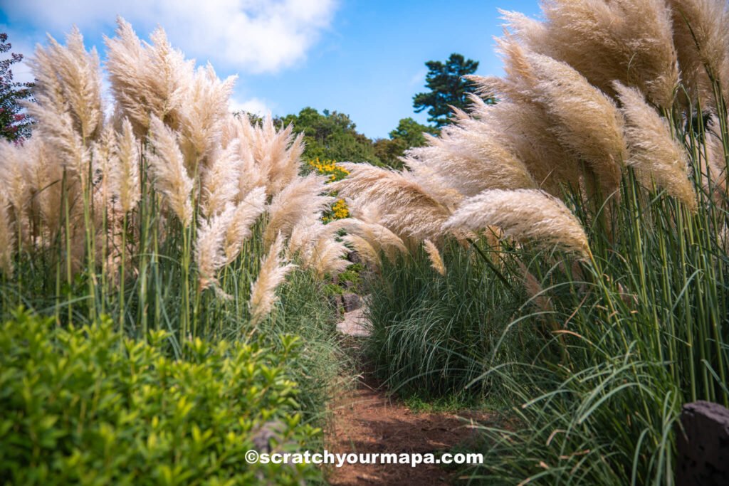 Planning a trip to South Korea - Sumdo gardens in Jeju