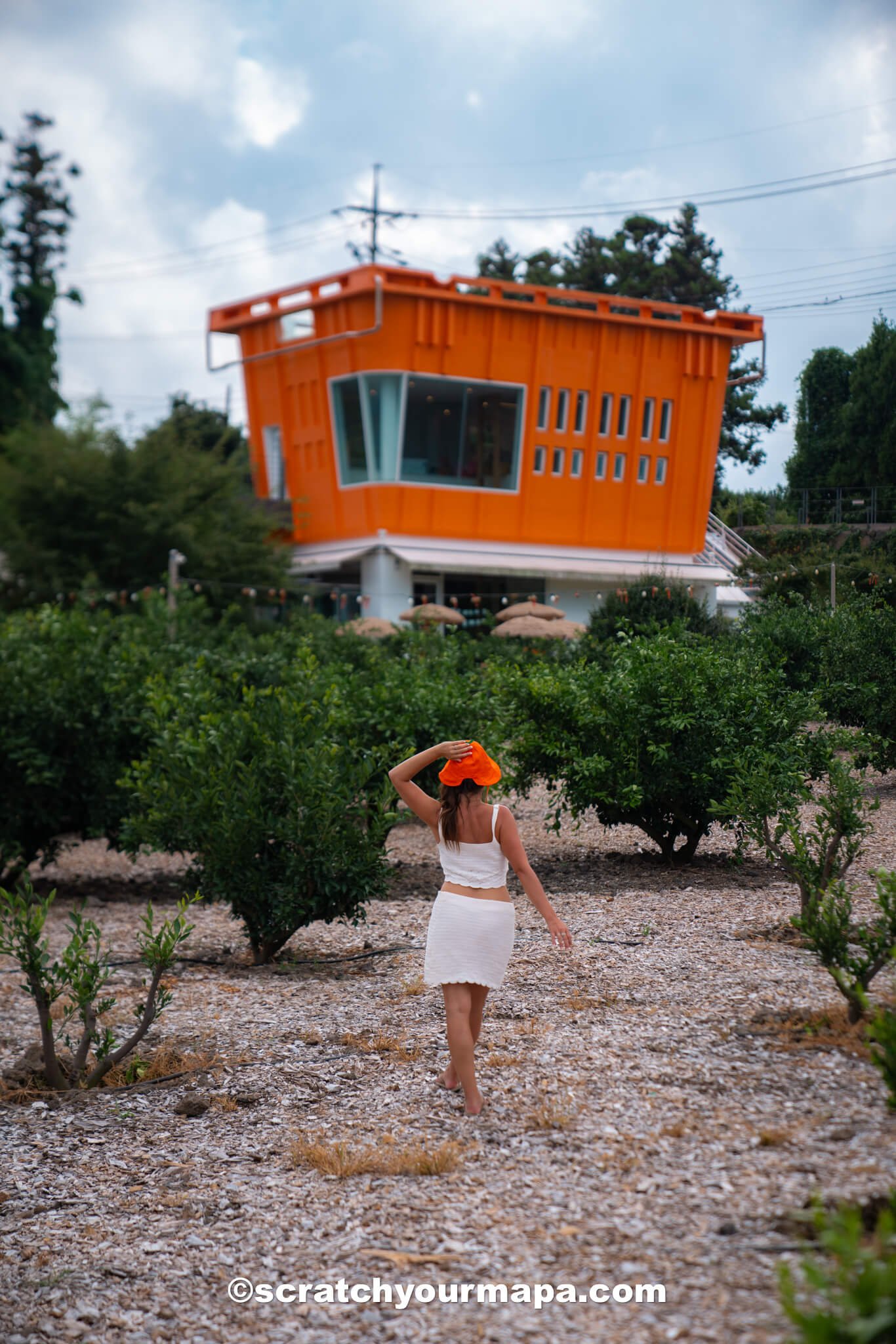 Cafe the Container - how to get around Seoul, South Korea