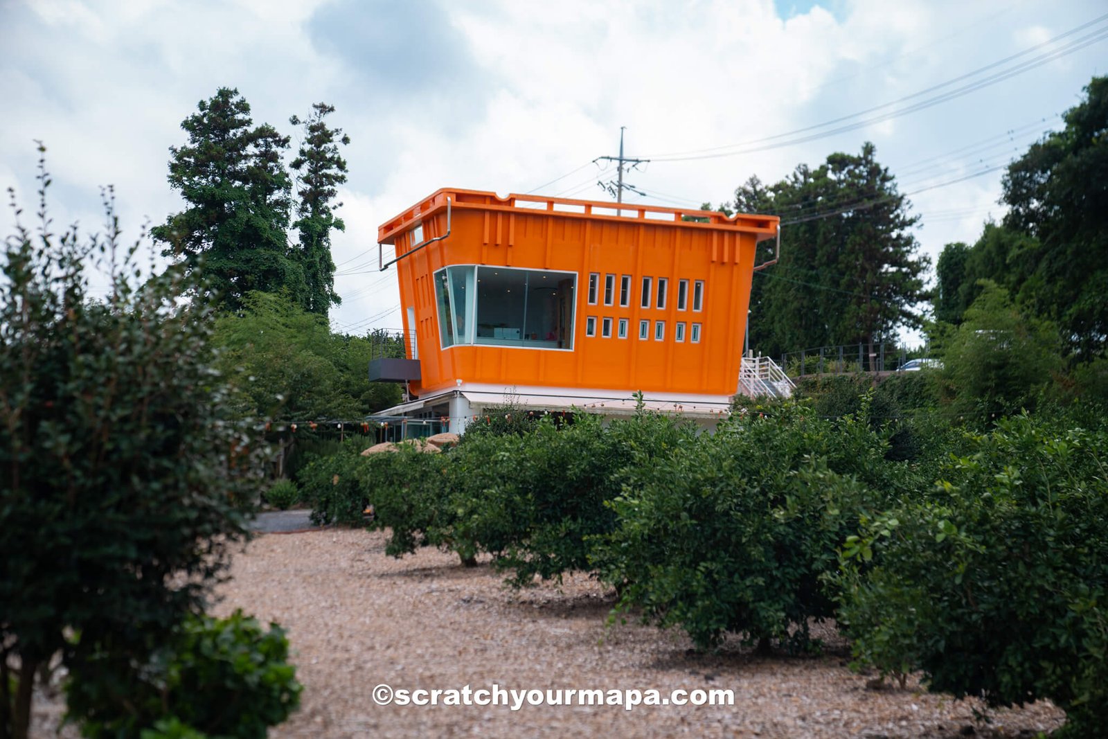 Cafe the Container - cafes in Jeju, South Korea