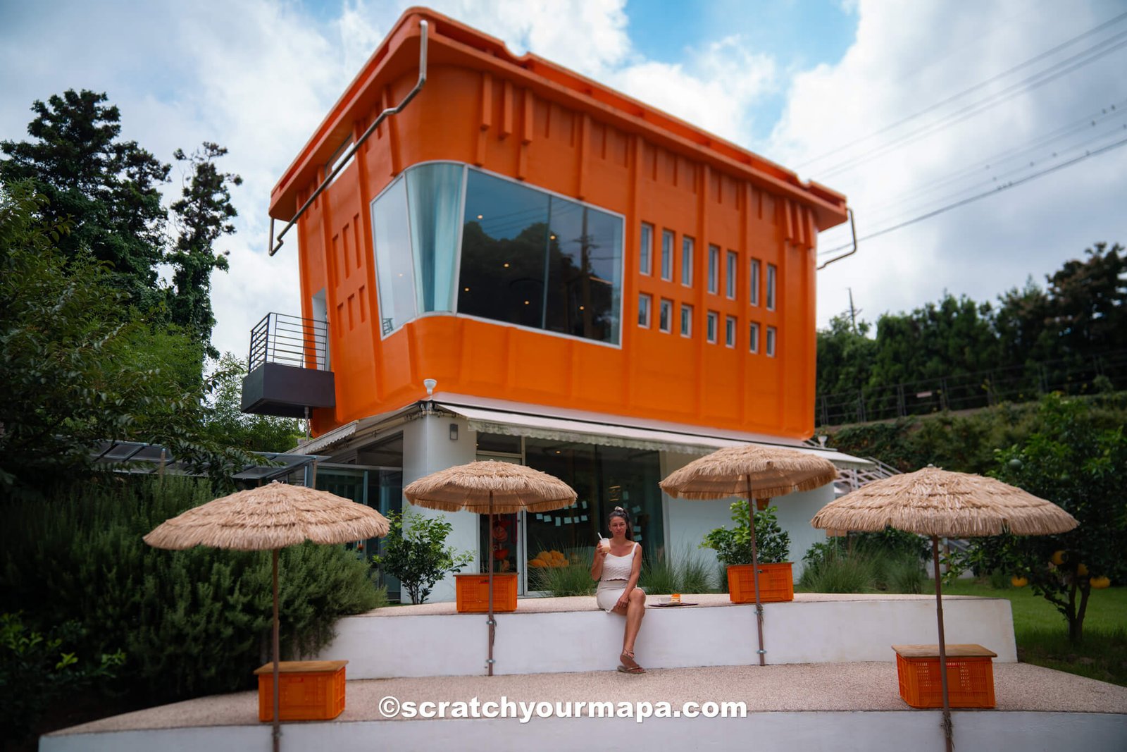 things to do in Jeju - experience the cafes