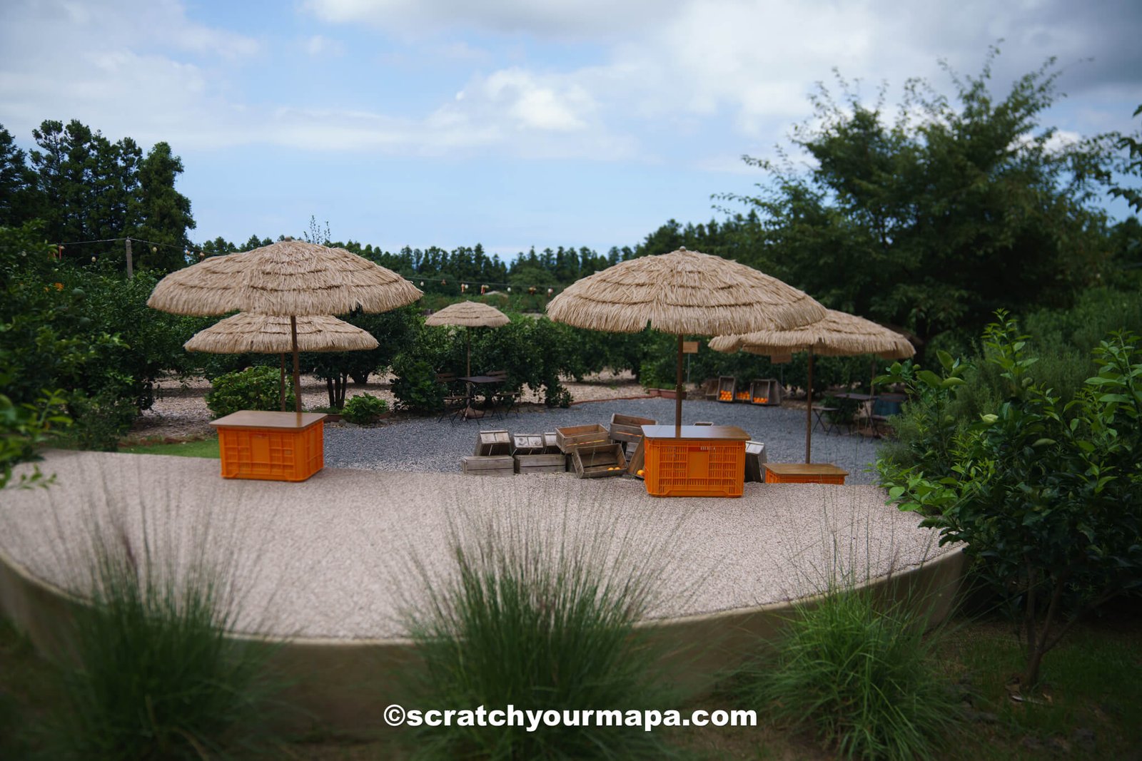 Cafe the Container - how to get around Seoul, South Korea