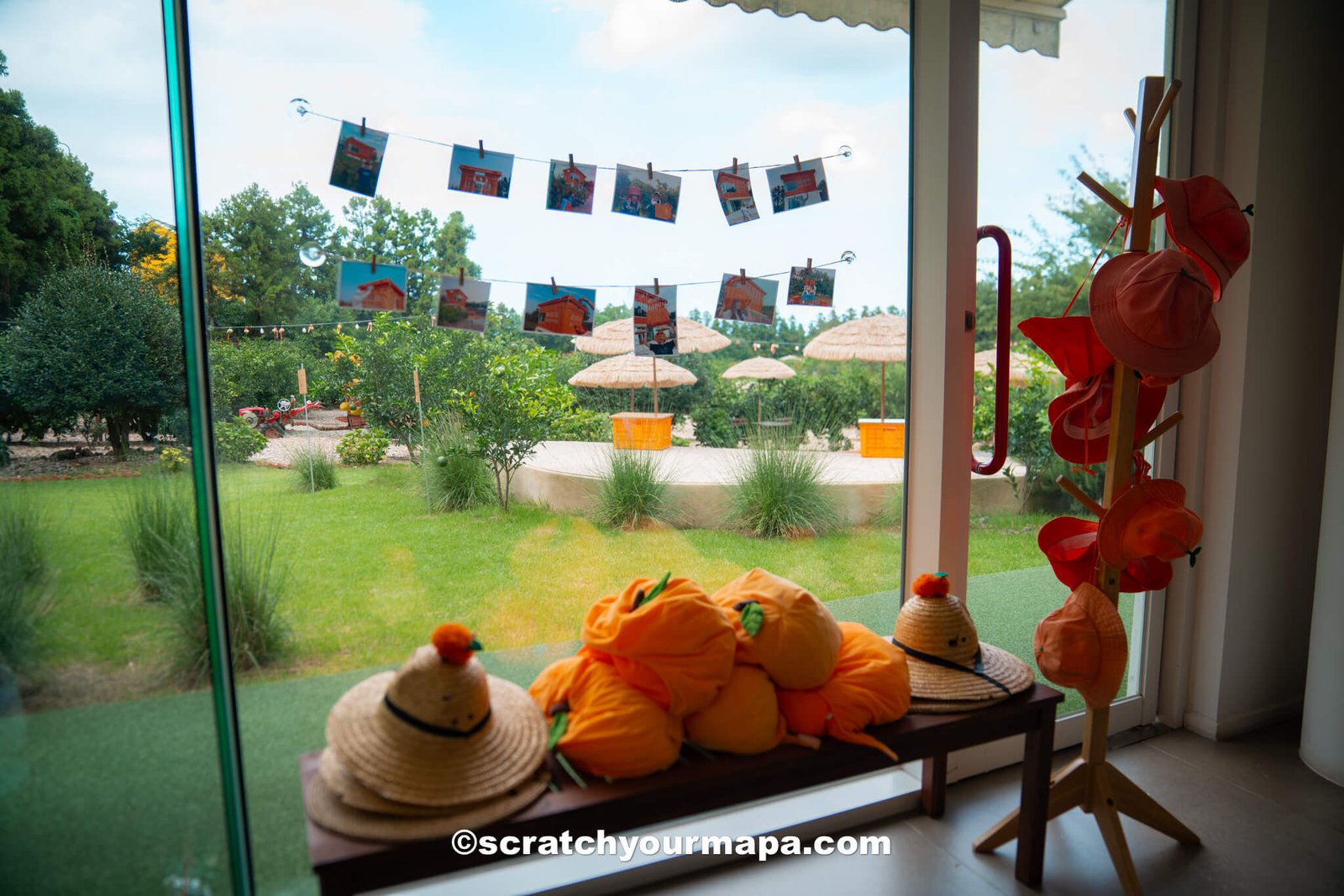 Cafe the Container - cafes in Jeju, South Korea