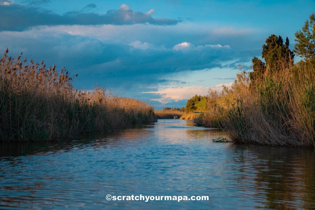 Albufera Park in Valencia, Spain