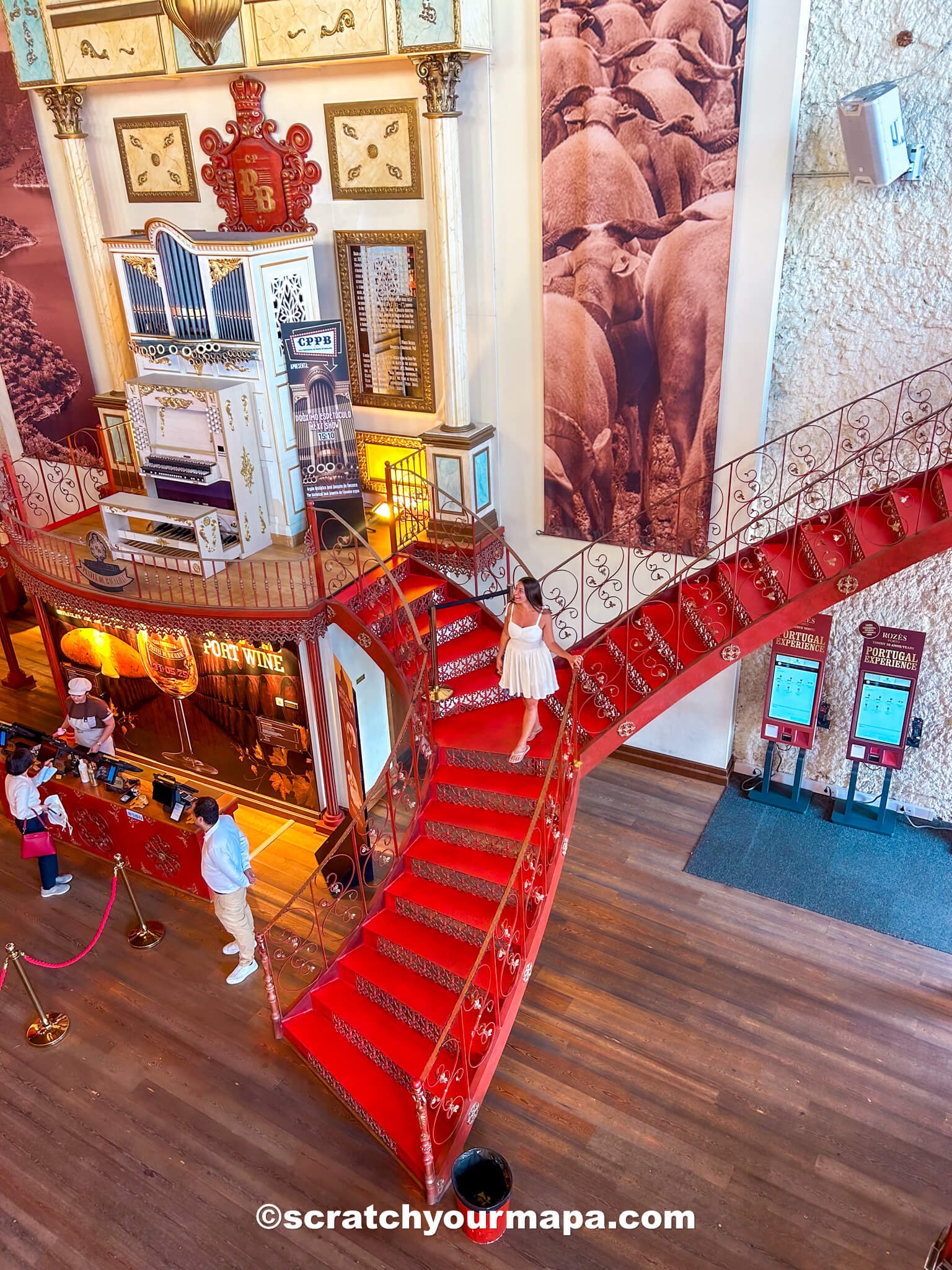 Casa Portuguesa do Pastel de Bacalhau - things to do in Porto, Portugal