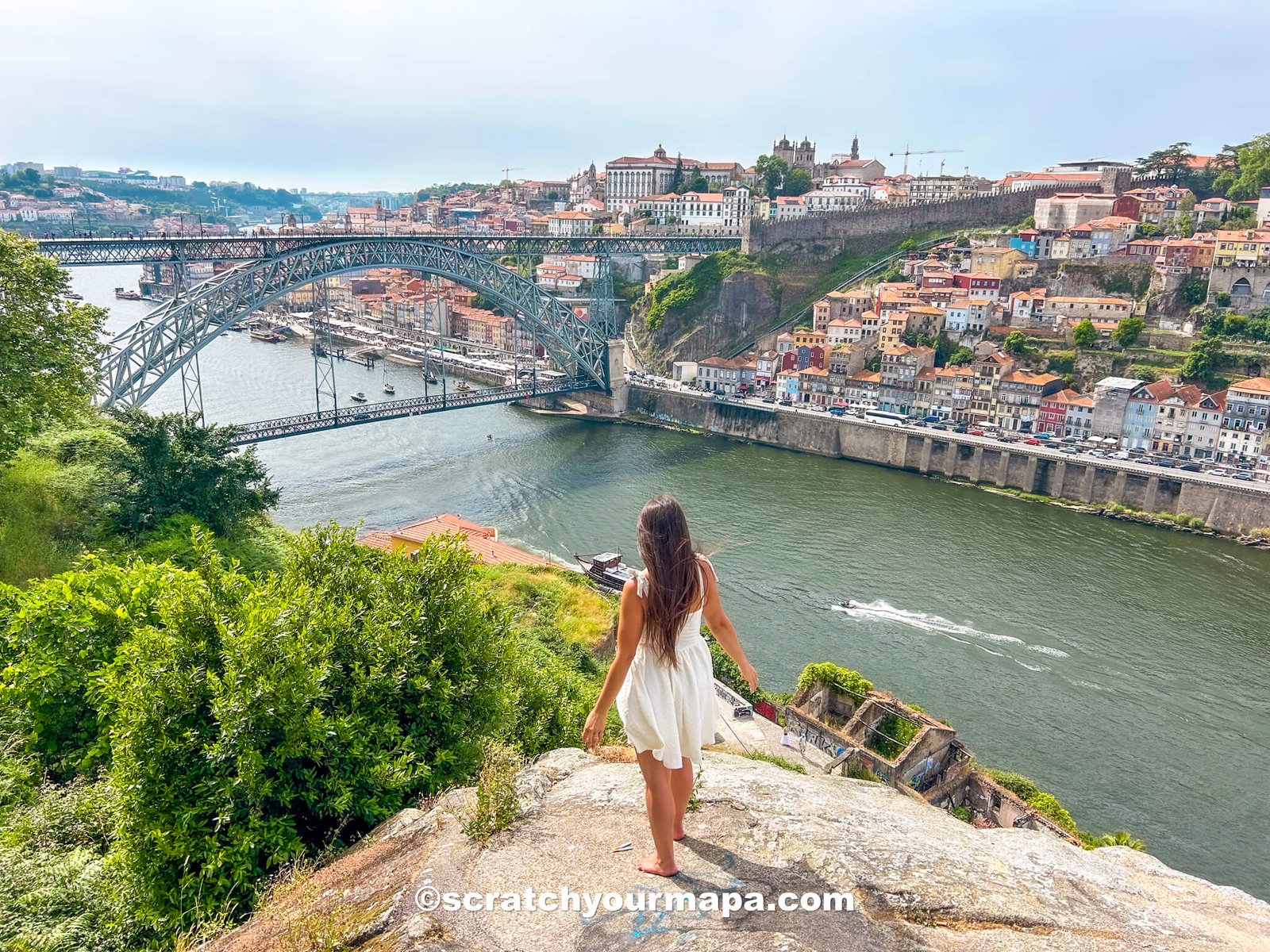 Kitties Rock - best things to do in Porto, Portugal