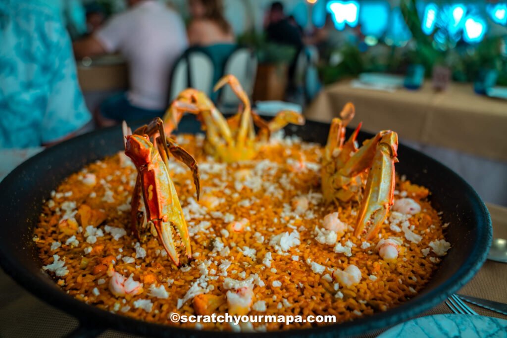 paella - unique tours in Valencia