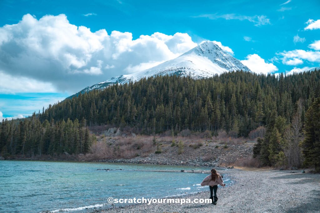 hacks for booking flights